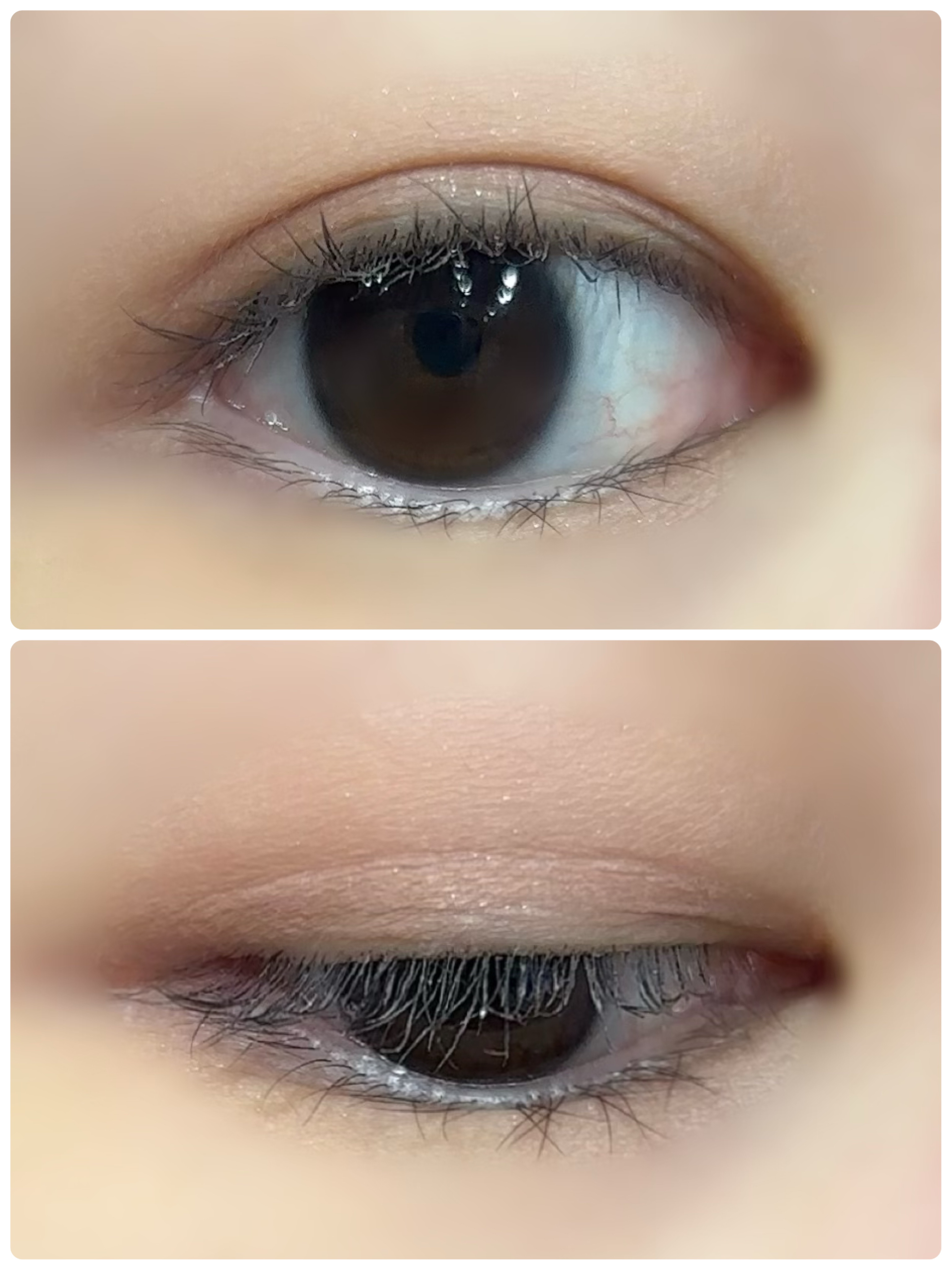 レディートゥーウェアアイパレット/BBIA/アイシャドウパレットを使ったクチコミ（2枚目）