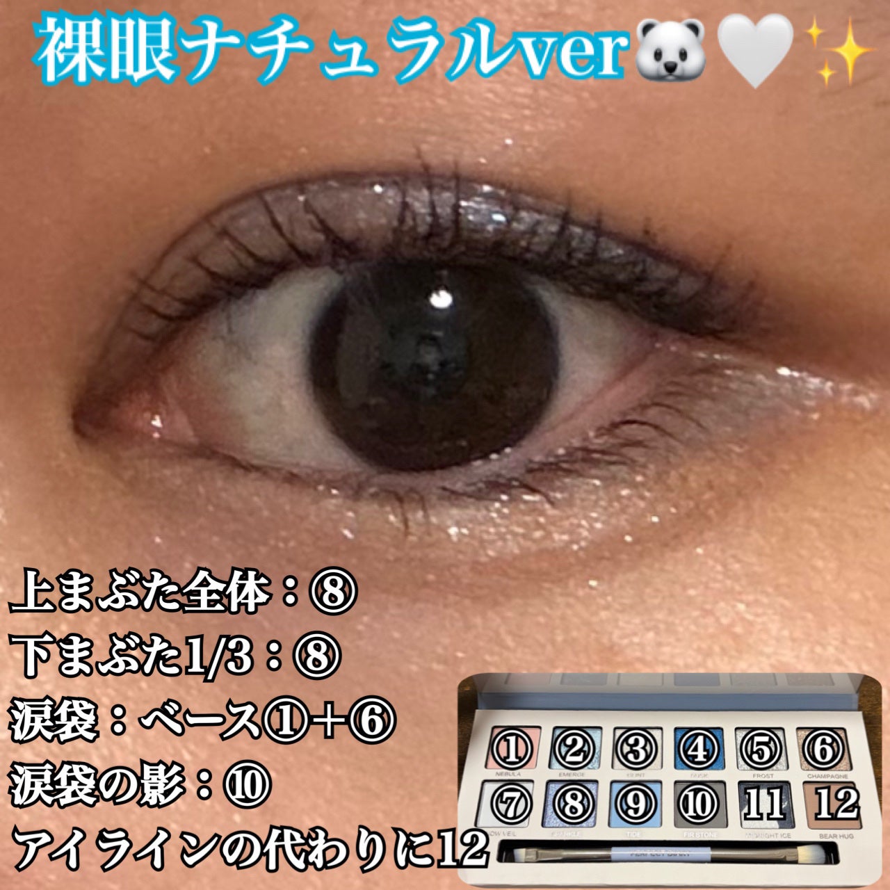 エクスプローラ12色 動物アイシャドウパレット/PERFECT DIARY/アイシャドウパレットを使ったクチコミ(6枚目)