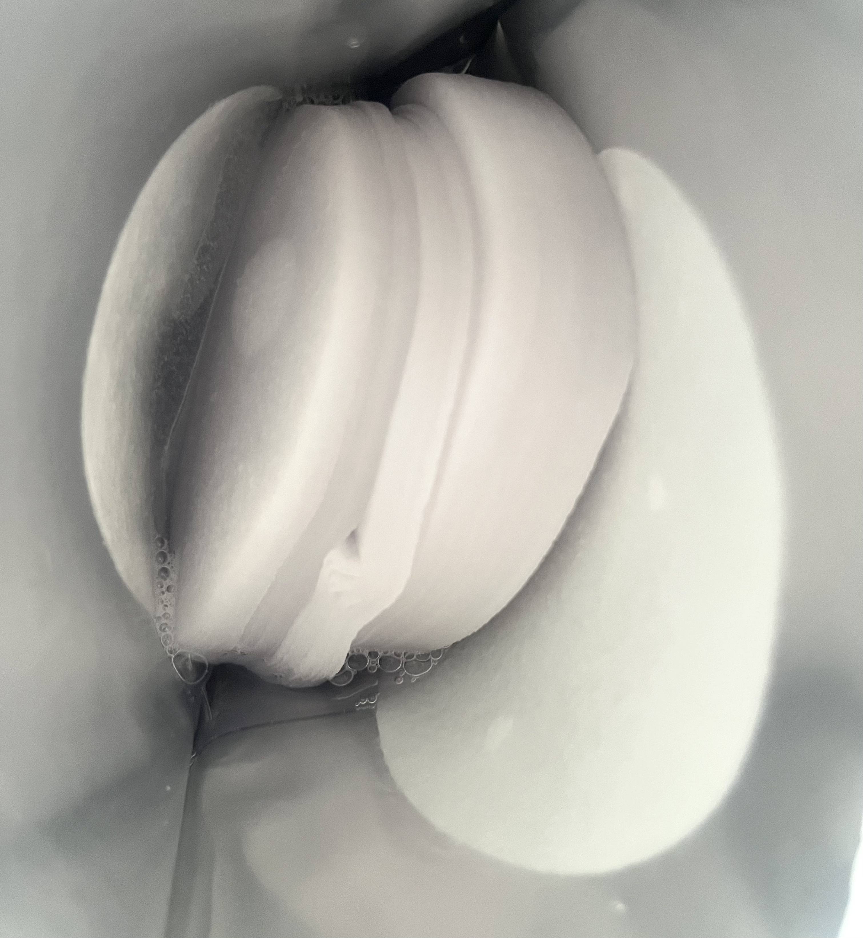 グアバ 70 スキン トナー パッド 70枚入り（詰め替え用）/BENTON/トナーパッドを使ったクチコミ（2枚目）