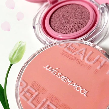 アーティストクッションブラッシュ/JUNG SAEM MOOL/リキッドチークを使ったクチコミ(1枚目)