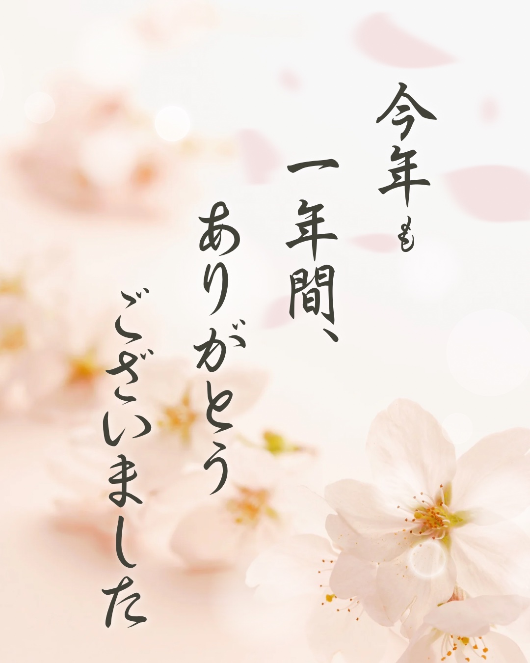 年末のご挨拶
2025年も感謝を込めて🎍



2025年も、今日で最後ですね🕊️

今年も投稿を見てくださった皆さま、
いいねやコメント、保存してくださった方、
本当にありがとうございました。

メイクやスキンケアは、
正解がひとつじ
