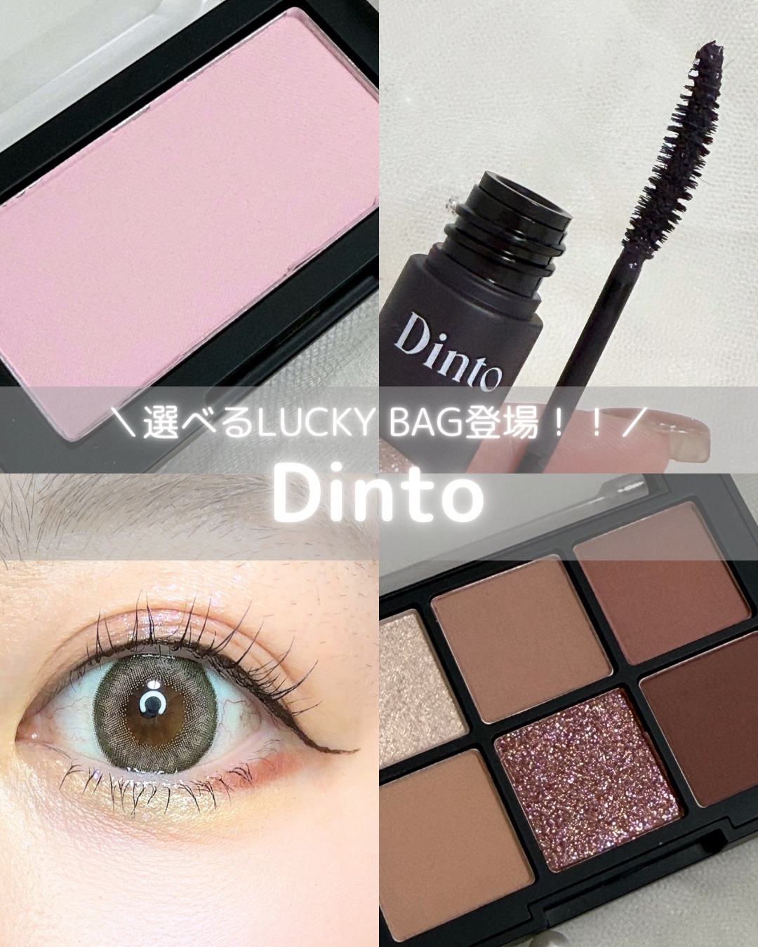 ブラーフィニシュシャドウパレット/Dinto/アイシャドウパレットを使ったクチコミ（1枚目）