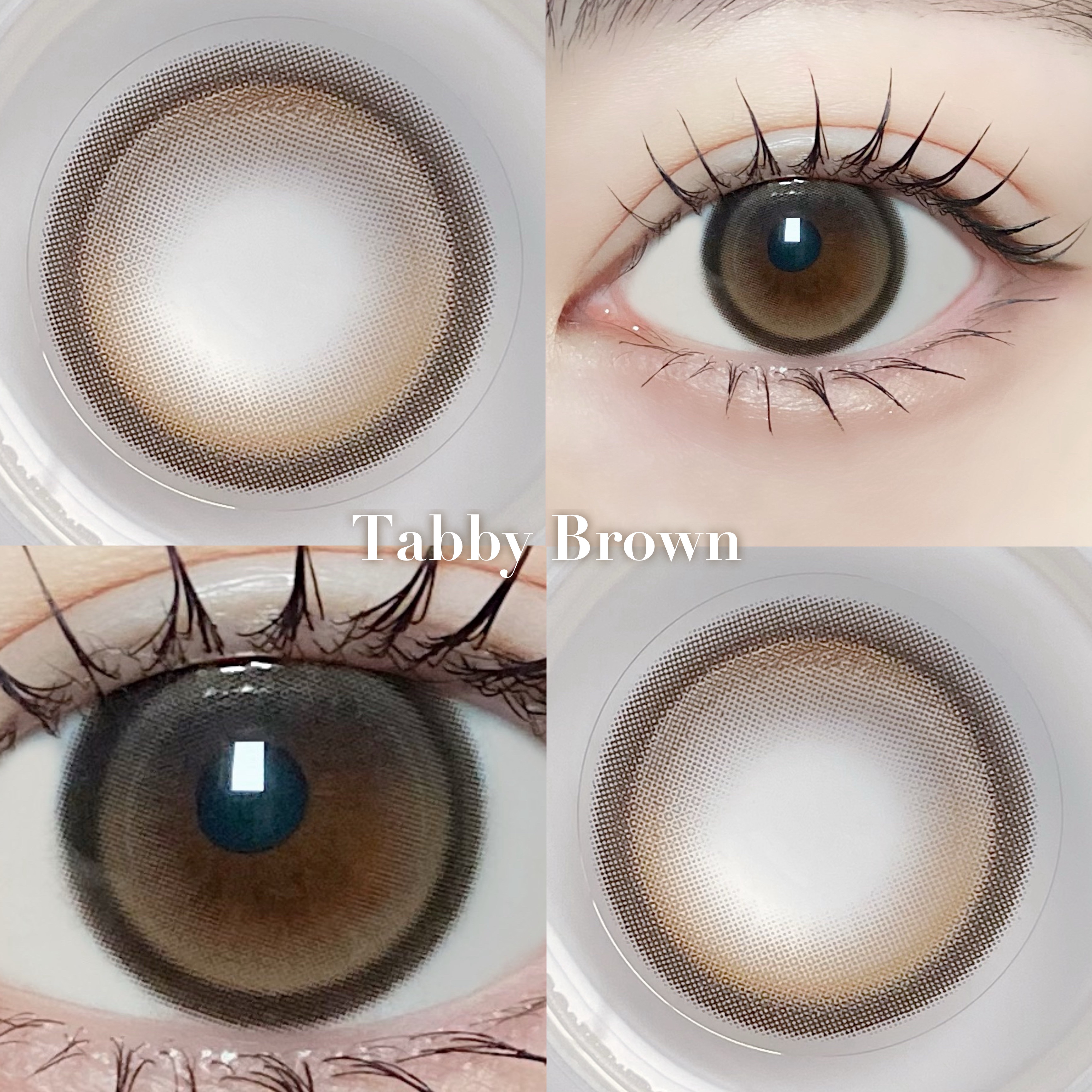 Cat-titude Kristin/Hapa kristin/ワンデー（１DAY）カラコンを使ったクチコミ（3枚目）