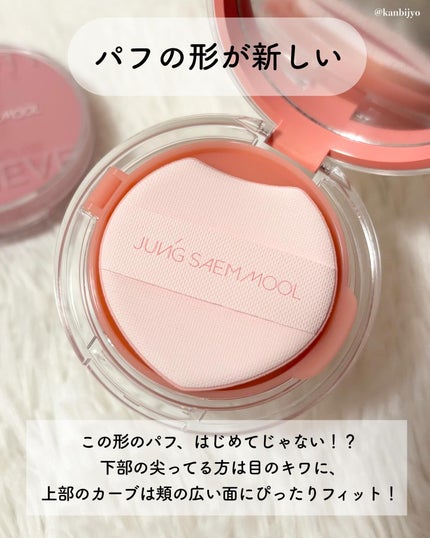 アーティストクッションブラッシュ/JUNG SAEM MOOL/リキッドチークを使ったクチコミ(4枚目)