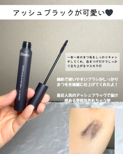 ブラーフィニシュシャドウパレット/Dinto/アイシャドウパレットを使ったクチコミ(6枚目)