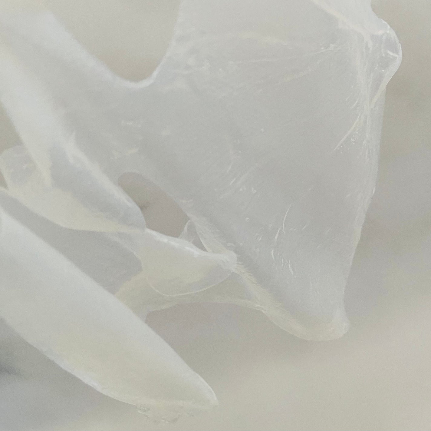 バイオセルロースマスク 保湿/medene/シートマスク・パックを使ったクチコミ(4枚目)