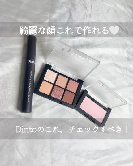 ブラーフィニシュシャドウパレット/Dinto/アイシャドウパレットを使ったクチコミ(1枚目)
