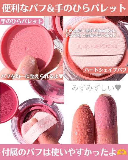 アーティストクッションブラッシュ/JUNG SAEM MOOL/リキッドチークを使ったクチコミ(3枚目)