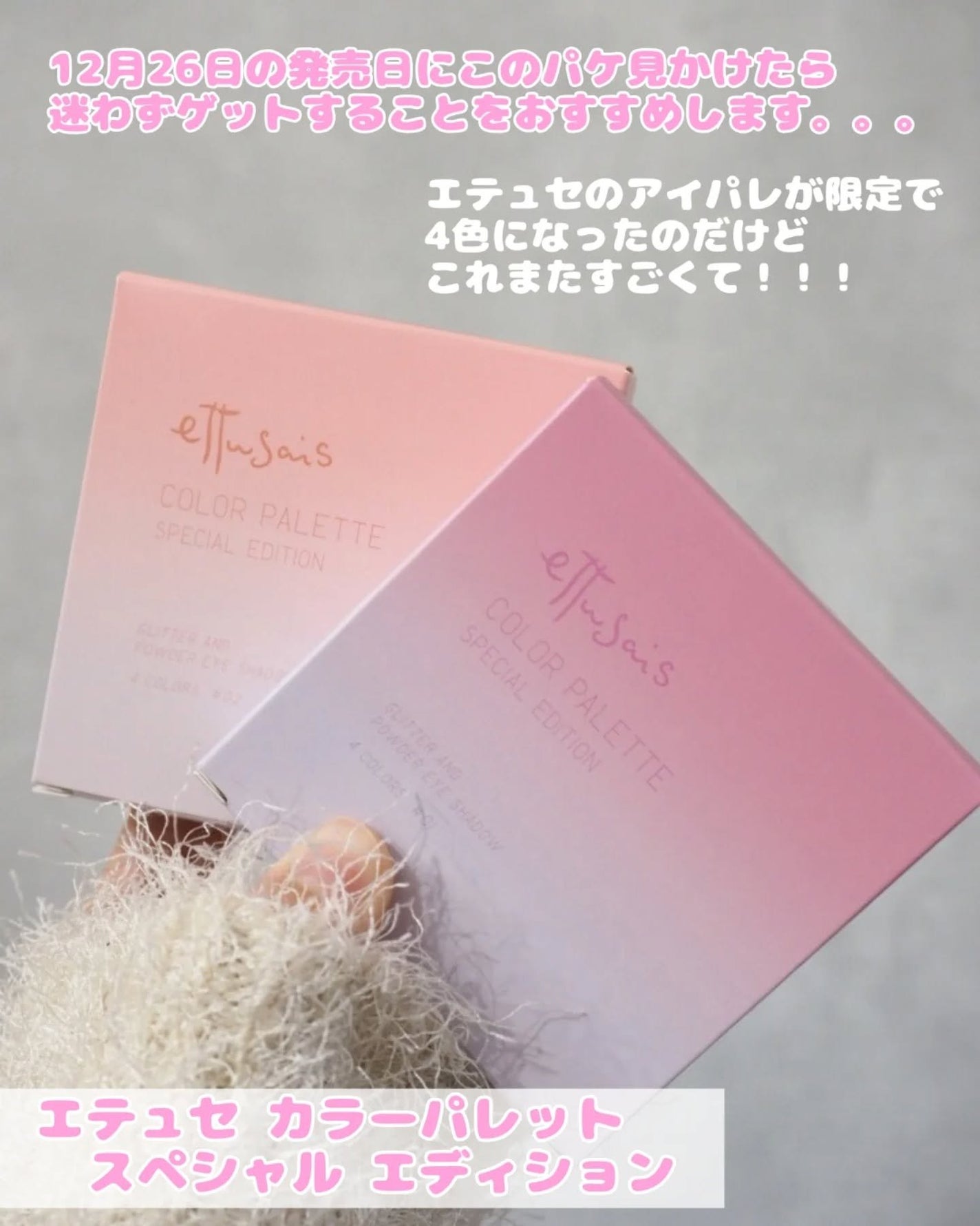 エテュセ カラーパレット スペシャル エディション/ettusais/アイシャドウパレットを使ったクチコミ(2枚目)