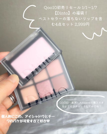 ブラーフィニシュシャドウパレット/Dinto/アイシャドウパレットを使ったクチコミ(7枚目)