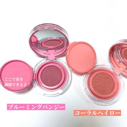 アーティストクッションブラッシュ/JUNG SAEM MOOL/リキッドチークを使ったクチコミ(4枚目)