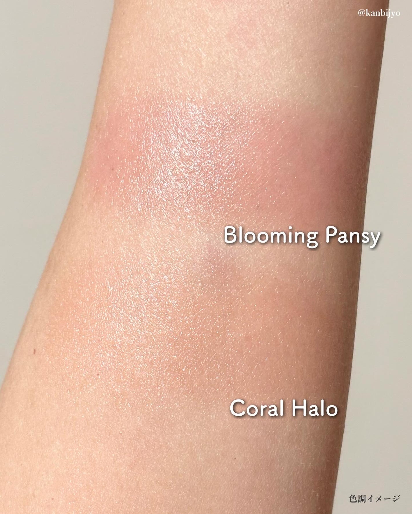 アーティストクッションブラッシュ/JUNG SAEM MOOL/リキッドチークを使ったクチコミ(6枚目)