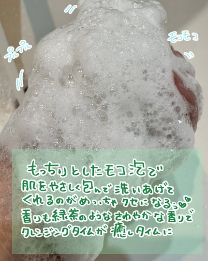 グリーンティー LHA ディープポアもちソープクレンザー/アレンシア/洗顔フォームを使ったクチコミ(3枚目)