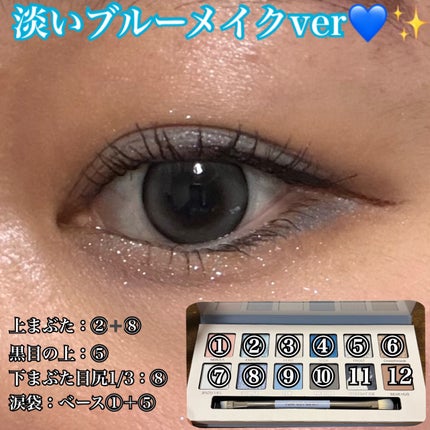 エクスプローラ12色 動物アイシャドウパレット/PERFECT DIARY/アイシャドウパレットを使ったクチコミ(4枚目)