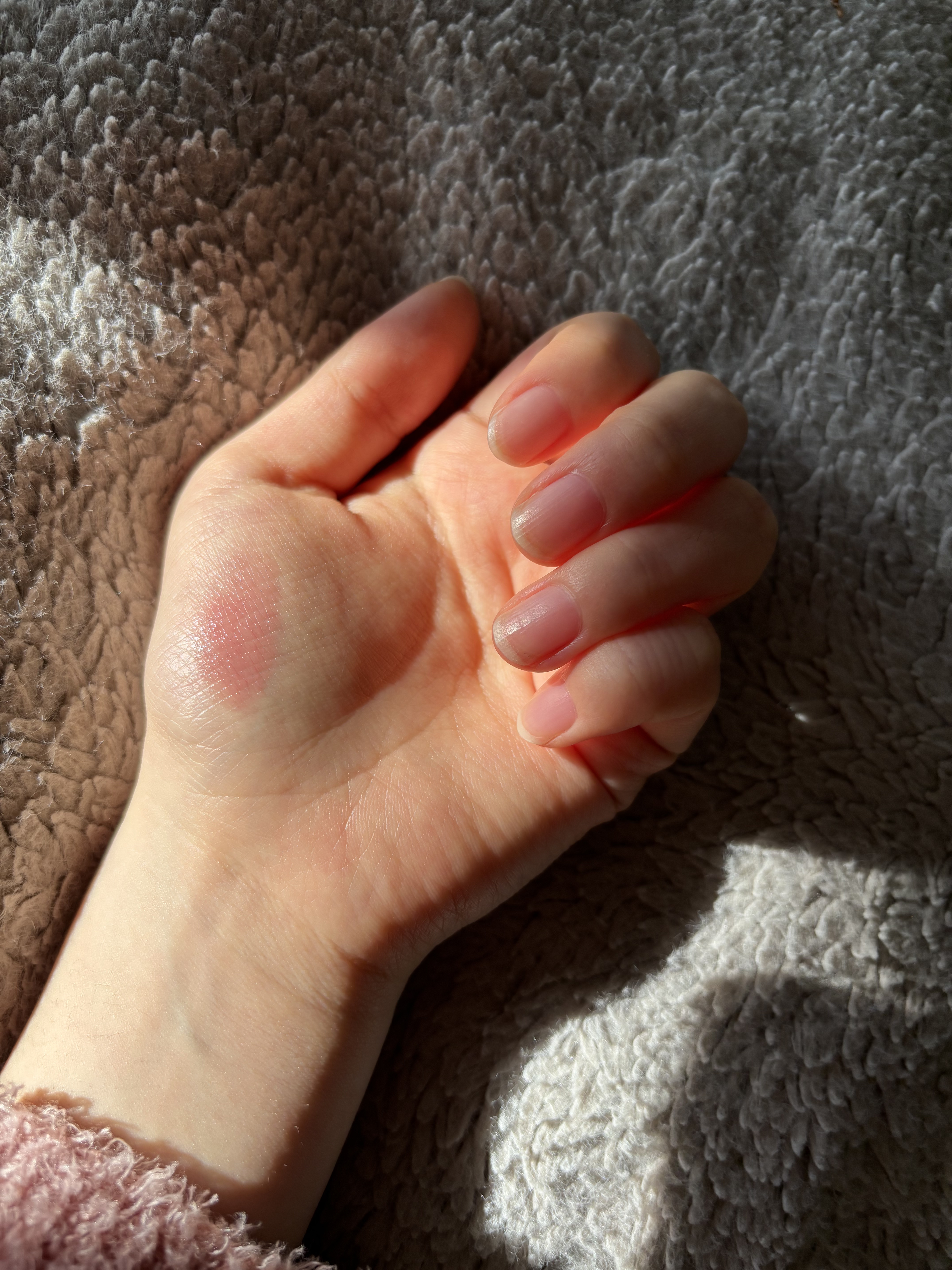 ノーウェアリップスティックバーミンググロー/espoir/口紅を使ったクチコミ（3枚目）