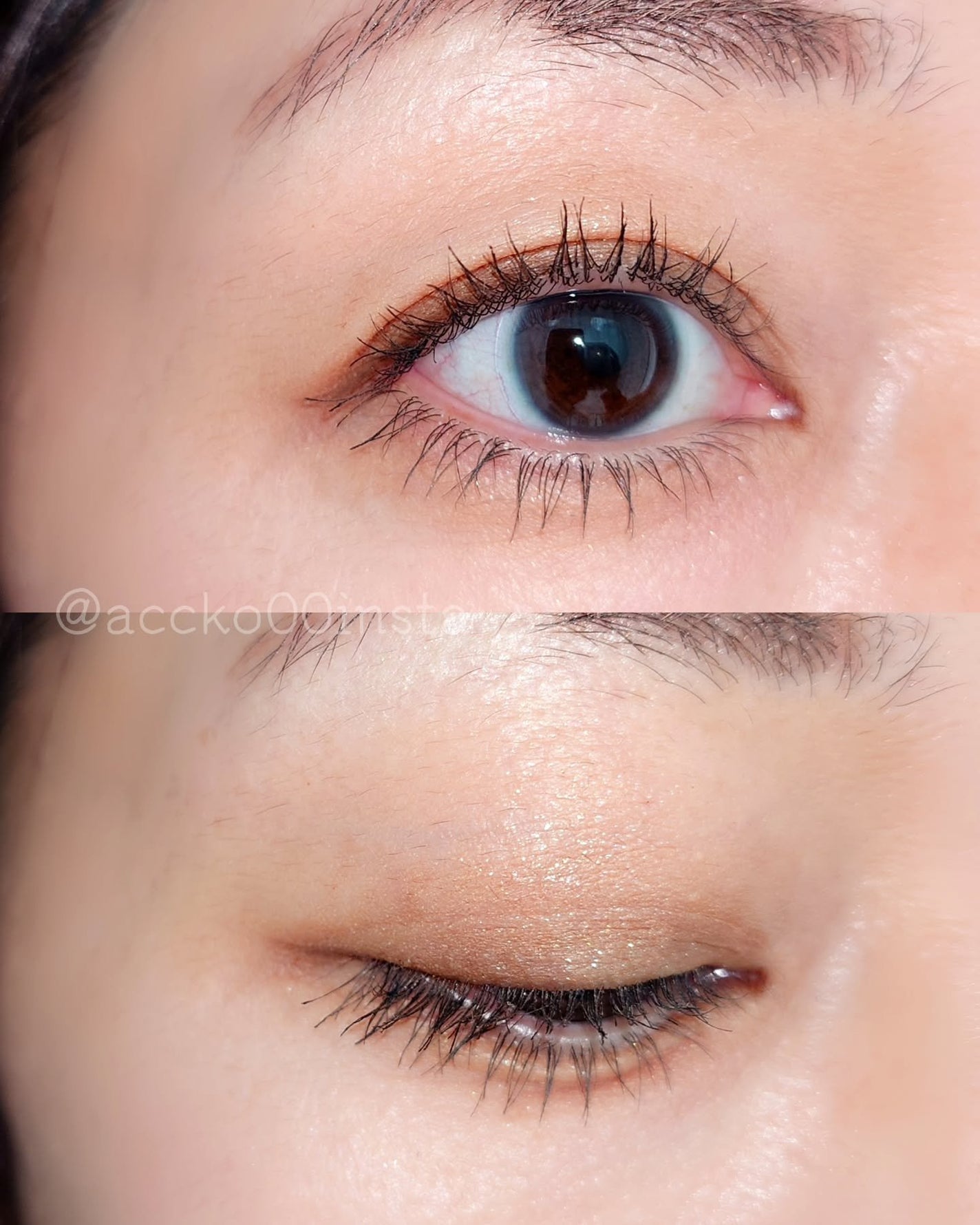 シグニチャー カラー アイズ/SUQQU/アイシャドウパレットを使ったクチコミ(4枚目)