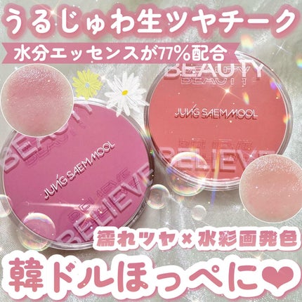 アーティストクッションブラッシュ/JUNG SAEM MOOL/リキッドチークを使ったクチコミ(1枚目)