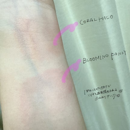 アーティストクッションブラッシュ/JUNG SAEM MOOL/リキッドチークを使ったクチコミ(2枚目)