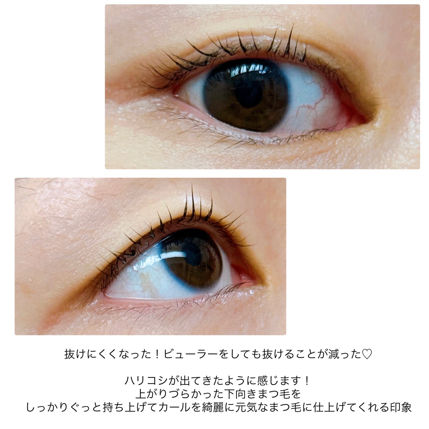 アイラッシュセラム/Bio Lucia(ビオルチア)/まつげ美容液を使ったクチコミ(5枚目)