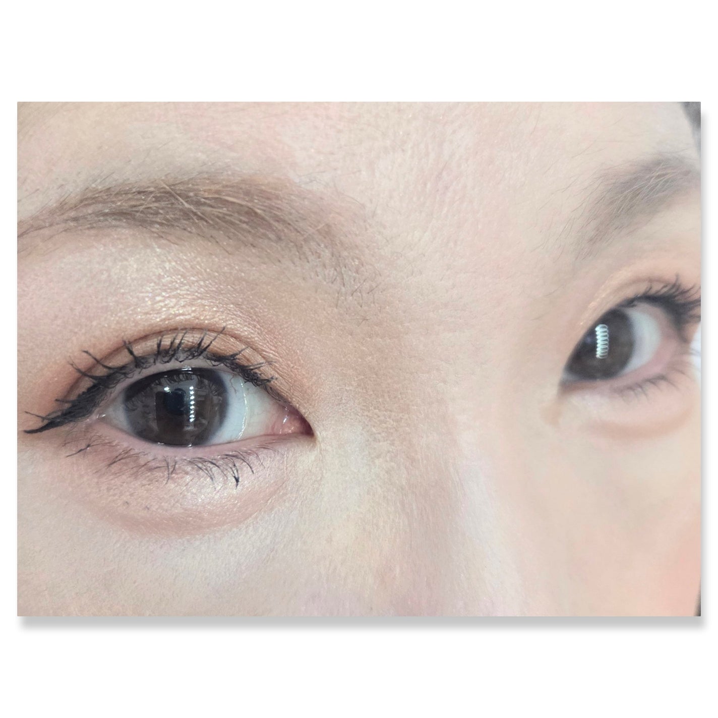 パノラマデザイン アイパレット/Visée/アイシャドウパレットを使ったクチコミ(2枚目)