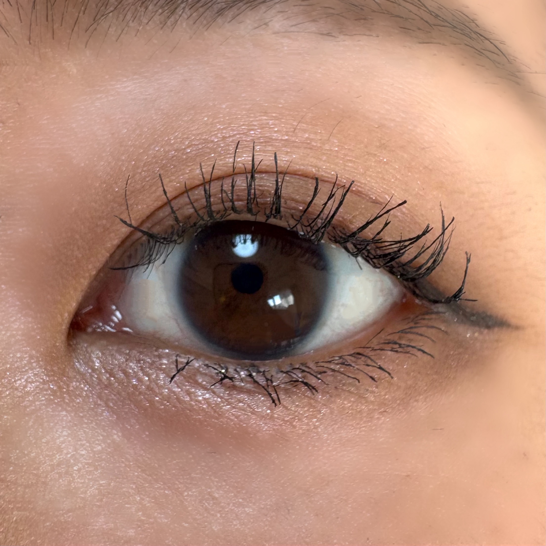 ラッシュエキスパンダー 孔雀ロング/MAJOLICA MAJORCA/マスカラを使ったクチコミ（3枚目）