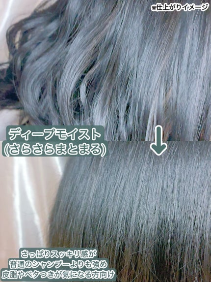 スパタイム クリームシャンプー (リッチモイスト)/Spa time/市販シャンプーを使ったクチコミ(5枚目)