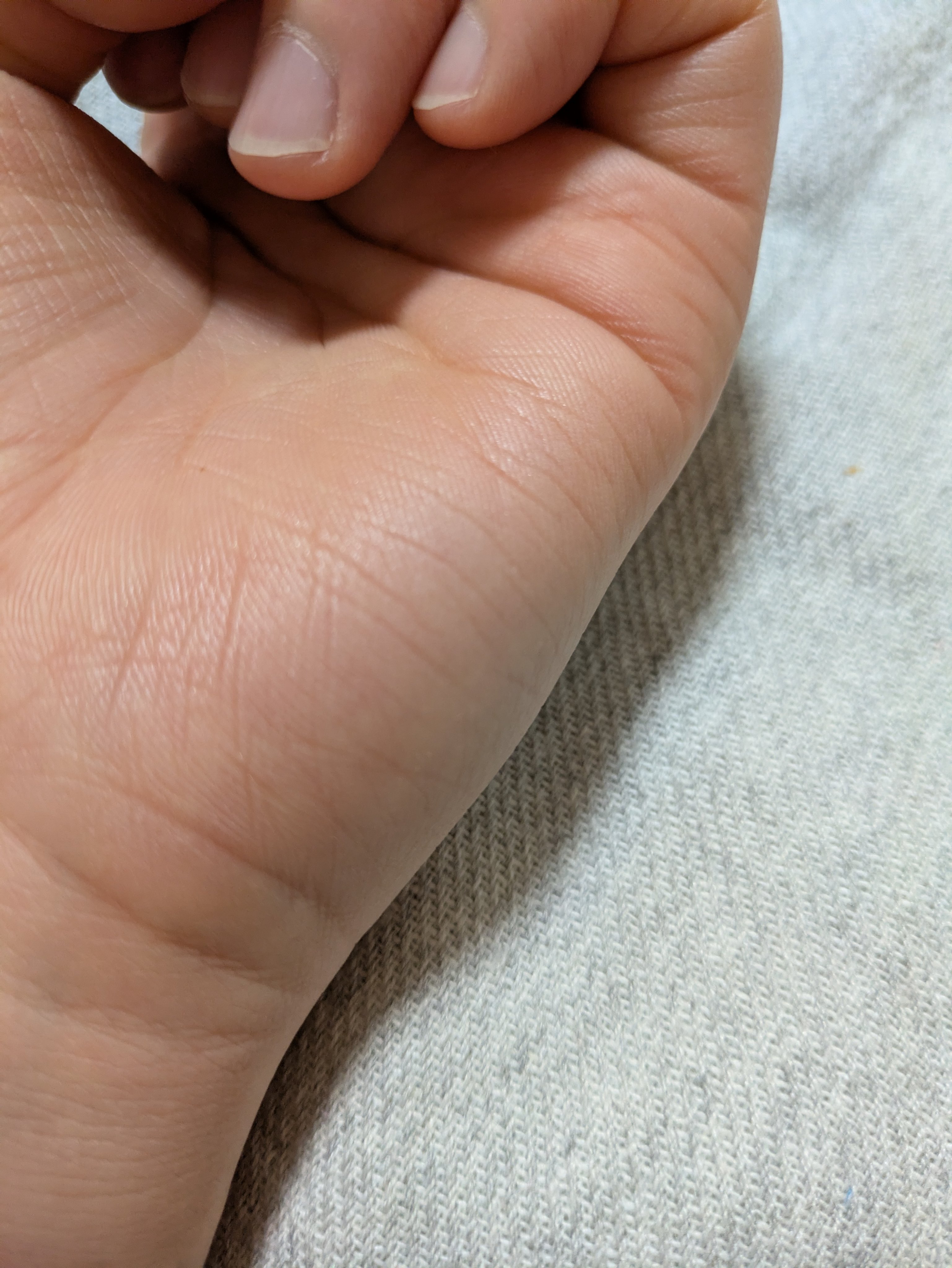 チークブラッシュ/CEZANNE/パウダーチークを使ったクチコミ（2枚目）