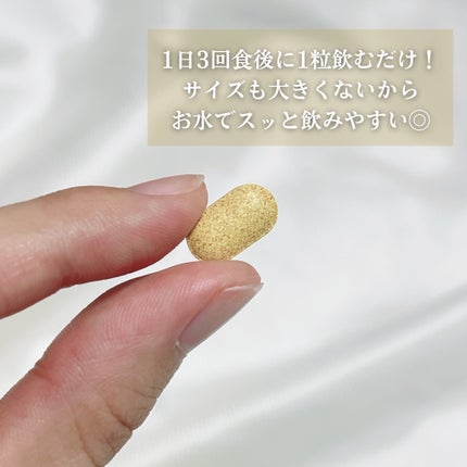 サファーデイ ゼロショット/canteen9/ボディサプリメントを使ったクチコミ(4枚目)