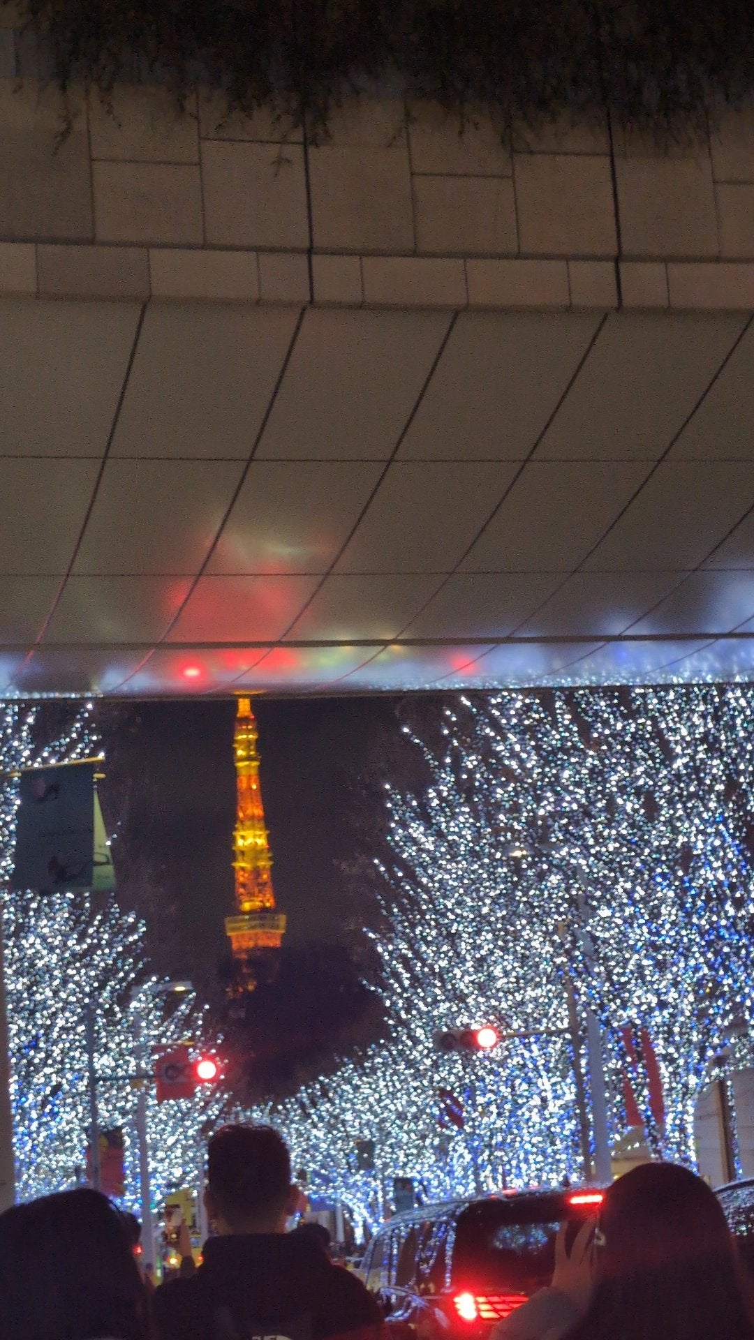 選べるスープ春雨/ひかり味噌/食品を使ったクチコミ(1枚目)