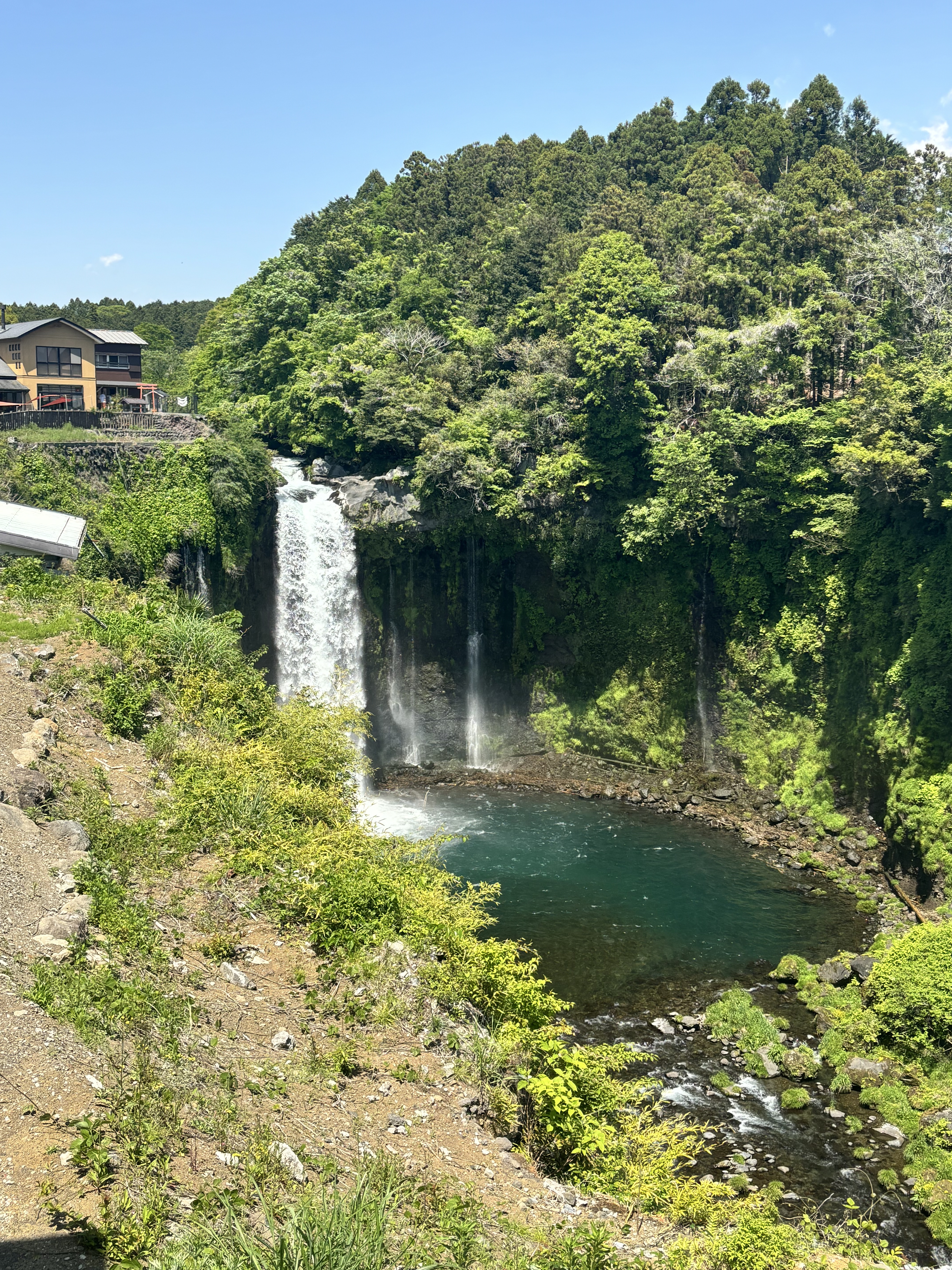 ダーマレーザー スーパー エクソソーム100 マスク/クオリティファースト/シートマスク・パックを使ったクチコミ（1枚目）