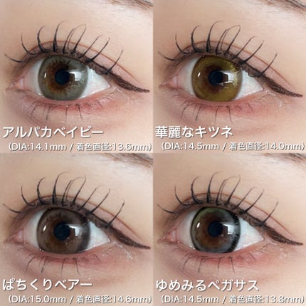 Flurry by colors 1day/Flurry by colors/ワンデー(1DAY)カラコンを使ったクチコミ(6枚目)