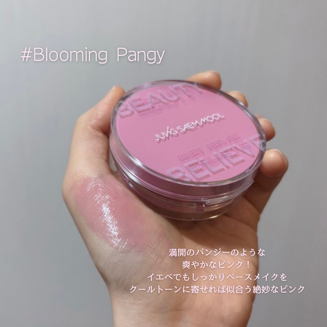 アーティストクッションブラッシュ/JUNG SAEM MOOL/リキッドチークを使ったクチコミ(3枚目)