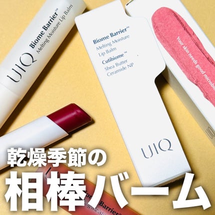 バイオームバリアメルティングモイスチャーリップバーム/UIQ/リップバームを使ったクチコミ(1枚目)