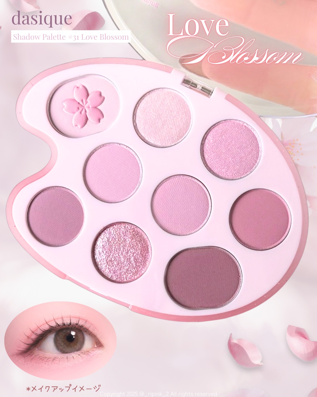 シャドウパレット/dasique/アイシャドウパレットを使ったクチコミ（3枚目）