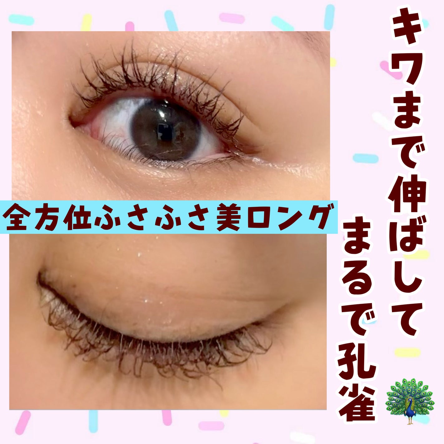 ラッシュエキスパンダー 孔雀ロング/MAJOLICA MAJORCA/マスカラを使ったクチコミ(1枚目)