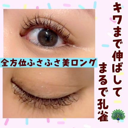 ラッシュエキスパンダー 孔雀ロング/MAJOLICA MAJORCA/マスカラを使ったクチコミ(1枚目)
