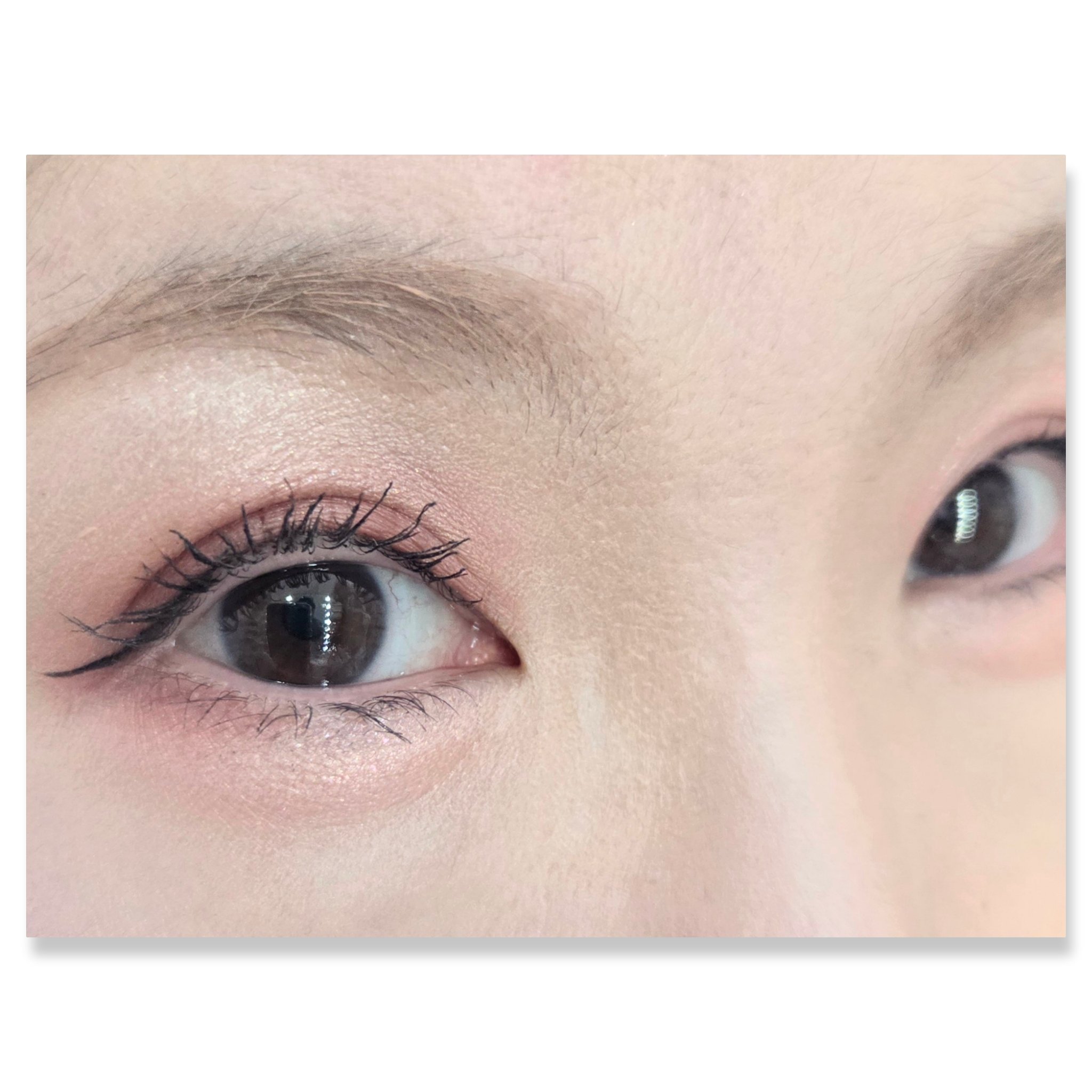 シルキースフレアイズ（マットタイプ）/キャンメイク/アイシャドウパレットを使ったクチコミ（2枚目）