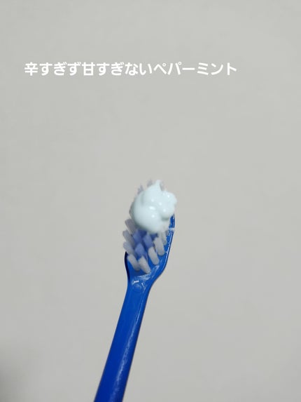 Amway スプリーデント™️ フッ素配合ハミガキ/アムウェイ/歯磨き粉を使ったクチコミ(2枚目)