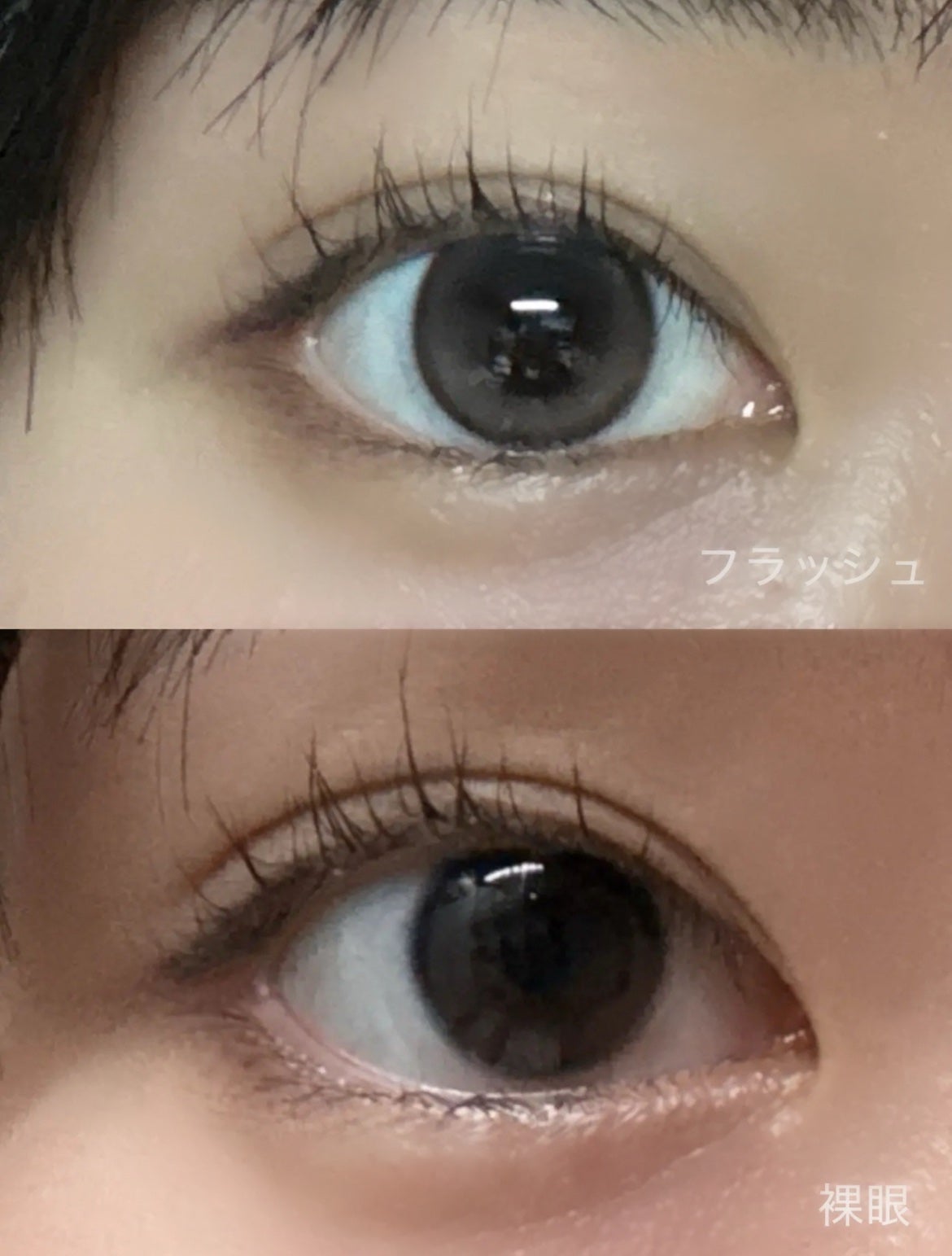 RIARIA 1day/RIARIA/ワンデー(1DAY)カラコンを使ったクチコミ(2枚目)