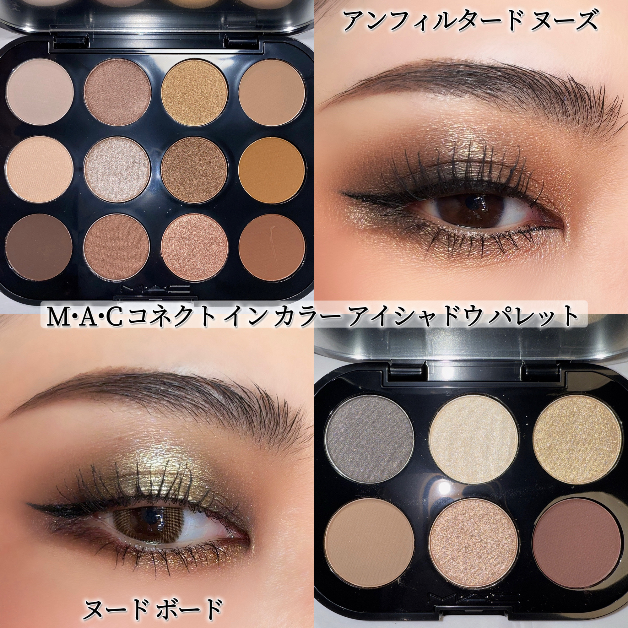 エクスプローラ12色 動物アイシャドウパレット/PERFECT DIARY/アイシャドウパレットを使ったクチコミ（2枚目）