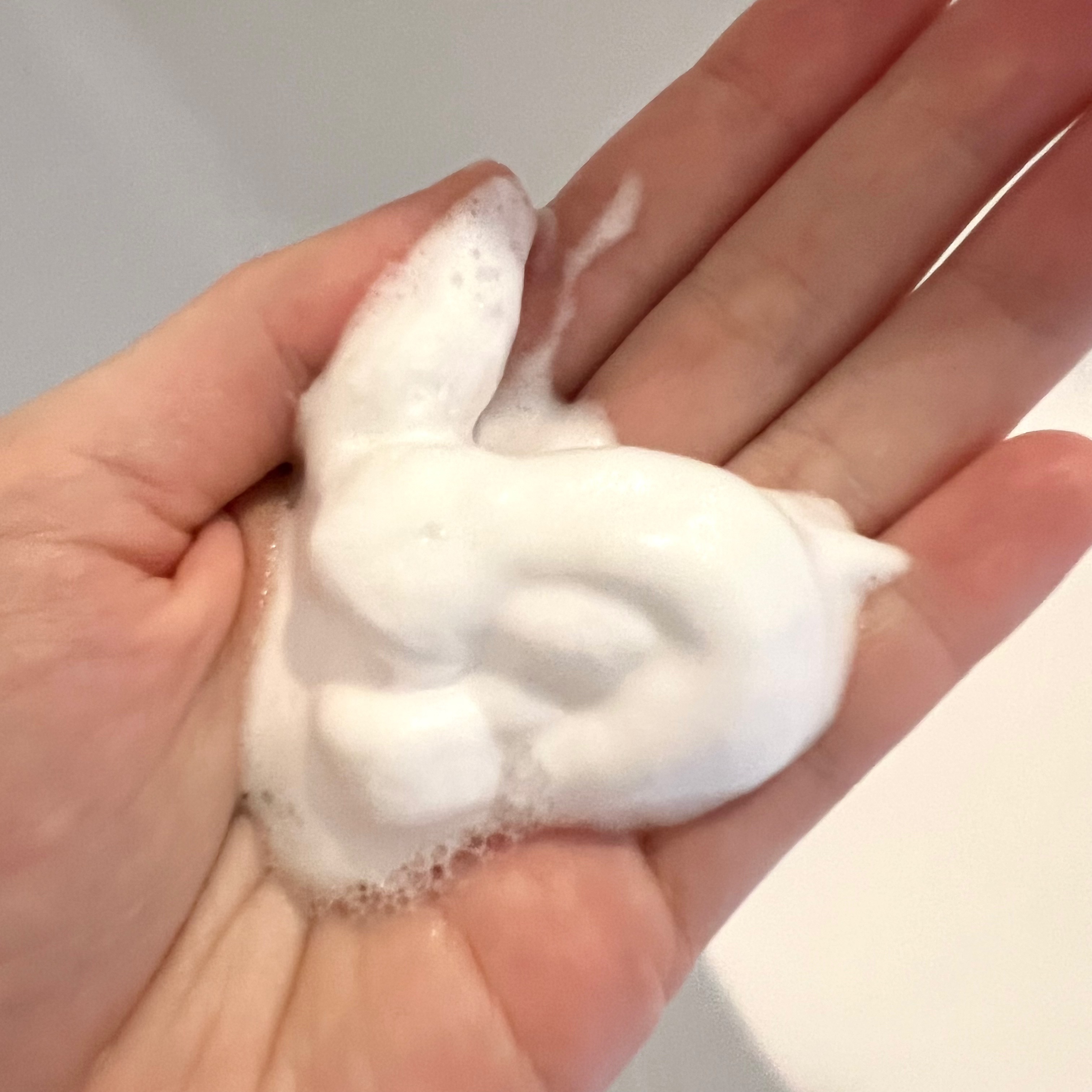 スピーディーパーフェクトホイップ モイストタッチ/SENKA（専科）/泡洗顔を使ったクチコミ（2枚目）