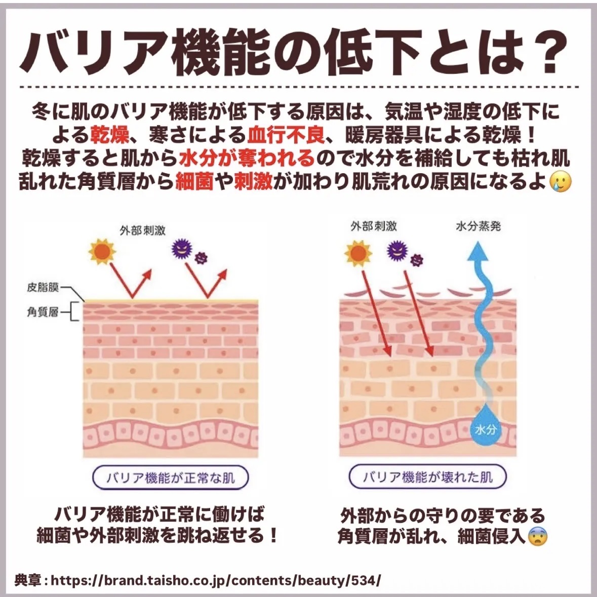 エクストリームエッセンストナーオリジナル/Real Barrier/化粧水を使ったクチコミ（3枚目）