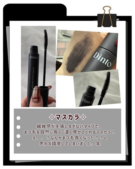 ブラーフィニシュシャドウパレット/Dinto/アイシャドウパレットを使ったクチコミ(4枚目)