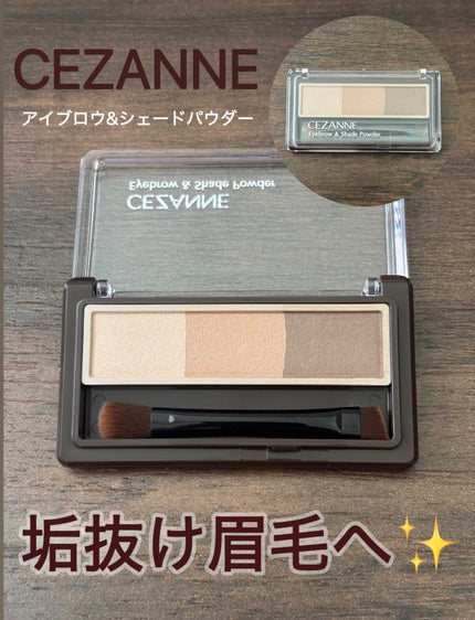 ノーズ&アイブロウパウダー/CEZANNE/パウダーアイブロウを使ったクチコミ(1枚目)