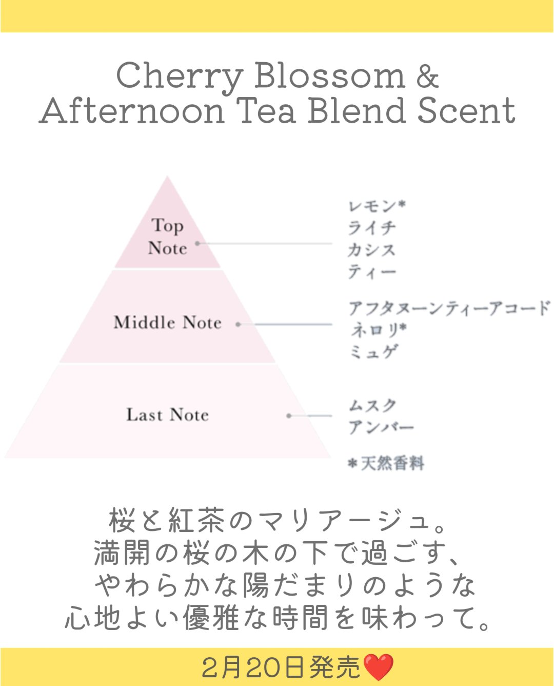 フローラノーティス　ジルスチュアート　チェリーブロッサム＆アフタヌーンティーブレンド　リペアヘアオイル/Flora Notis JILL STUART/ヘアオイルを使ったクチコミ（3枚目）