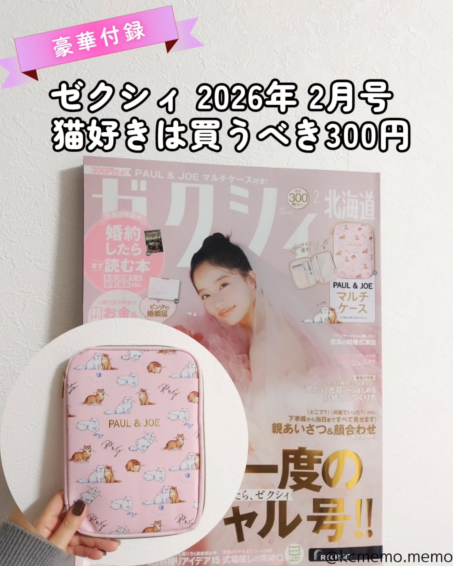 猫柄クリアファイルもGETできる裏ワザあり！笑

ゼクシィ 2026年 2月号 
付録 PAUL & JOE マルチケース

かなり前の付録、JILLSTUARTマルチケースがぼろっとしてきたのでこれ買ったんだけど、クオリティが全然違う！立