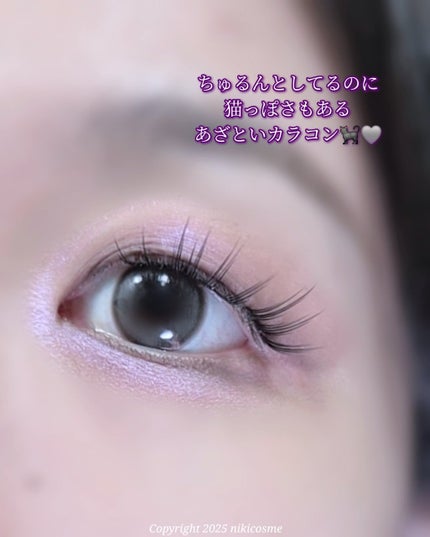 chiffon chiffon gray/meilly/ワンデー(1DAY)カラコンの画像