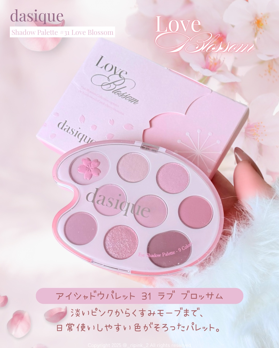 シャドウパレット/dasique/アイシャドウパレットを使ったクチコミ（2枚目）