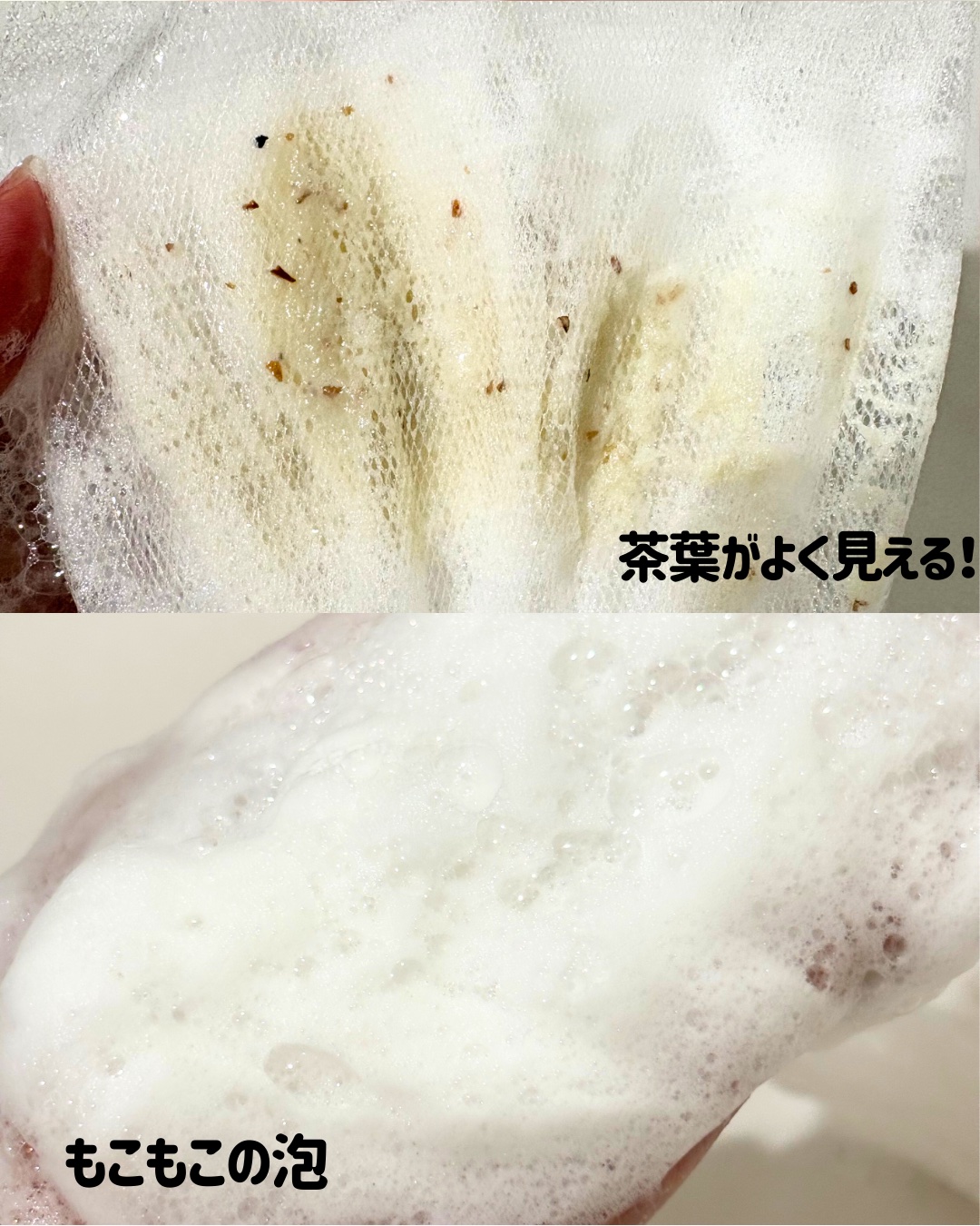 シカバリアジェントルモーニングクレンザー/B:lab/洗顔フォームを使ったクチコミ（3枚目）