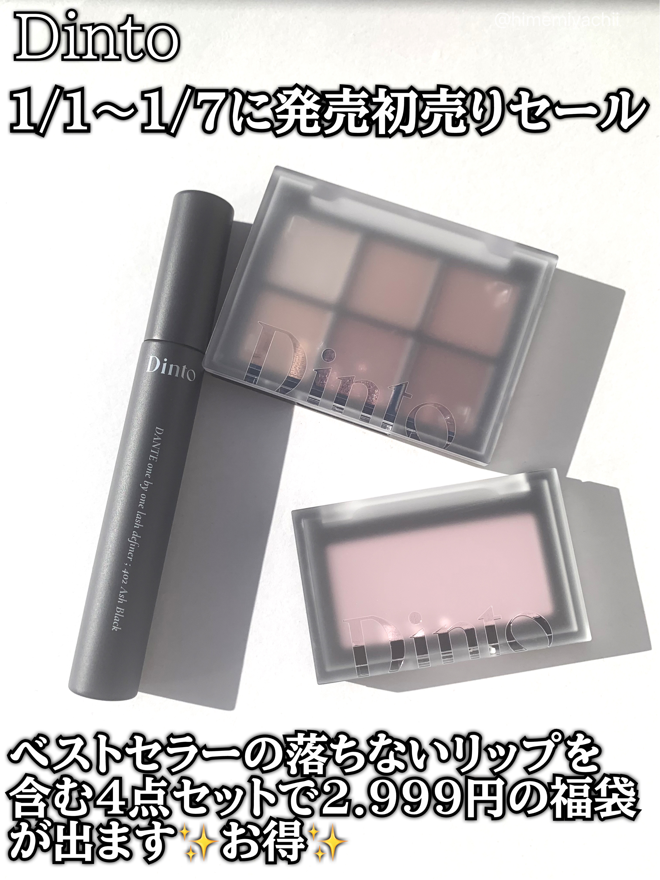 ブラーフィニシュシャドウパレット/Dinto/アイシャドウパレットを使ったクチコミ（1枚目）